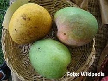 Preview: Familiengeführtes Unternehmen stellt exotische Konfitüre her